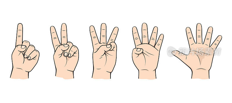 用于儿童早期数数教学的手指教材插图
手-身体部位编号0 1 2 3 4 5